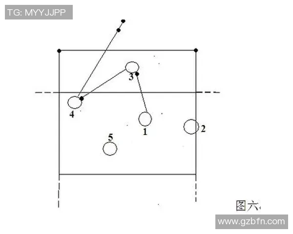 从零起步全面掌握排球战术技巧与实战应用指南