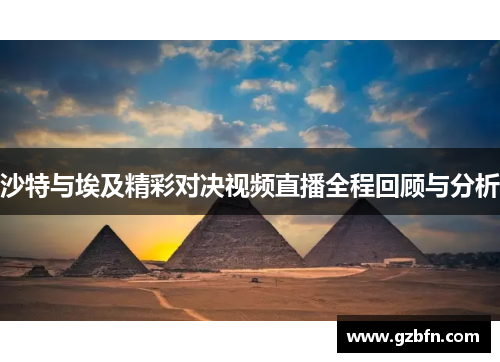 沙特与埃及精彩对决视频直播全程回顾与分析